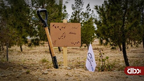 رویشگاه فونیکس با مشارکت مردم احداث شد