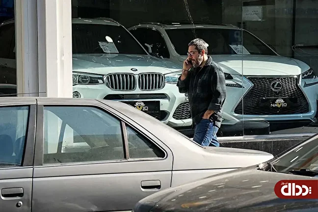 سبقت خودرو‌های داخلی در رالی قیمتی