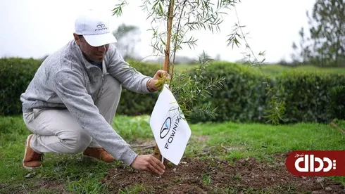 به نام مردم به کام زمین؛ پویش درختکاری فونیکس و فونیکس NEV