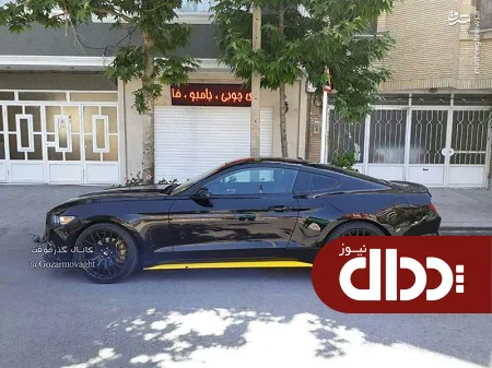 عکس/ آمریکایی قلدر دو رنگ در ایران