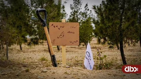 رویشگاه فونیکس با مشارکت مردم احداث شد