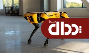 هیوندایی « سگ روباتی شرور» را می خواهد +عکس