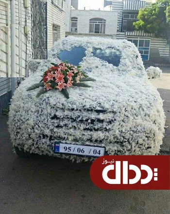 عکس/ تزئین خاص ماشین عروس با پر مرغ