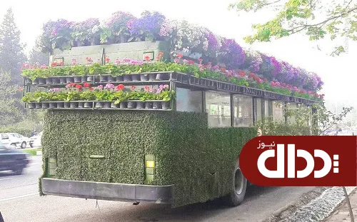 عکس/ اتوبوس بهاری !